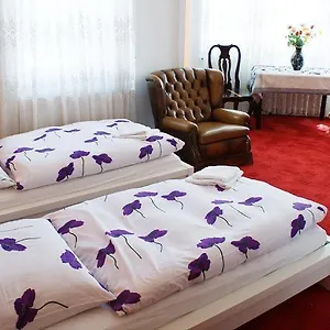  Apartment De Lux